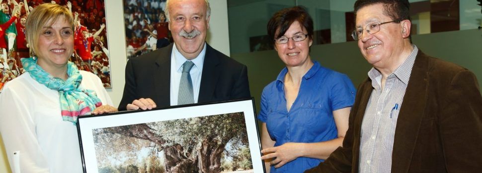 El 29 de novembre, 12è Congrés Oliveres Mil·lenàries Territori Sénia
