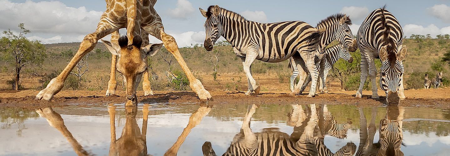 Joan Gil Raga guanya el Premi Nacional de Fotografia “Mejor Fotógrafo de Naturaleza 2024”