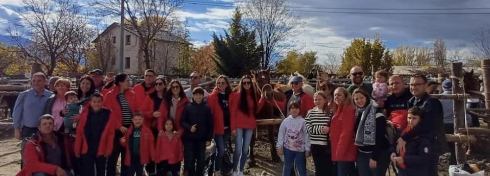 La Confraria de Sant Antoni Abat de Benicarló prepara la festa