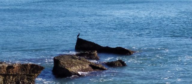 El “parte” del temps:dimarts per la tarde s’embolica lo panorama de mala manera i donen aigua amb ganes fins divendres