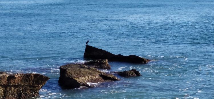 El “parte” del temps:dimarts per la tarde s’embolica lo panorama de mala manera i donen aigua amb ganes fins divendres