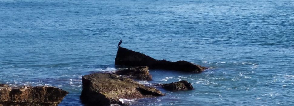El “parte” del temps:dimarts per la tarde s’embolica lo panorama de mala manera i donen aigua amb ganes fins divendres