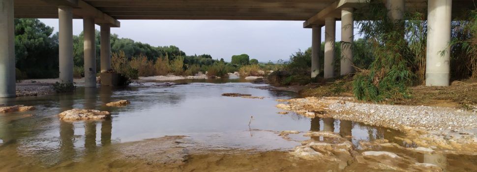 El “parte” del temps: aquest capde farà bones hores, una espècie d'”estiuet”