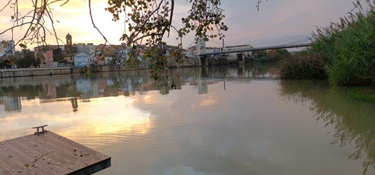 Fotos: L’Ebre a Amposta des del costat de l’Aldea