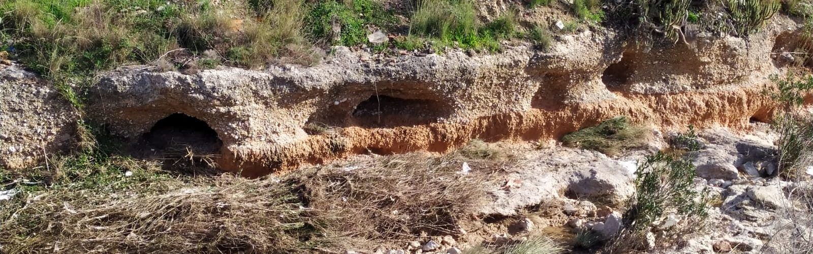El “parte” del temps: donen prou de caldo, esperem que no fasse cap barbaritat