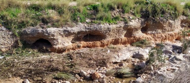 El “parte” del temps: donen prou de caldo, esperem que no fasse cap barbaritat