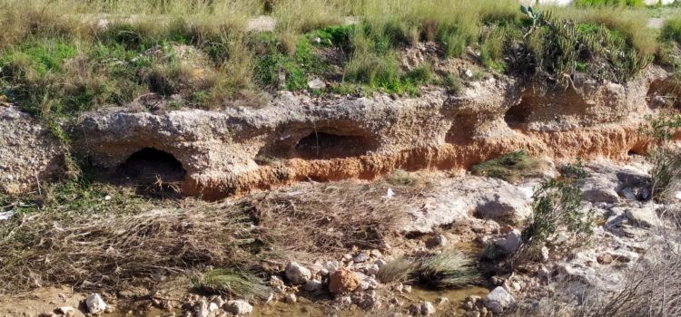 El “parte” del temps: donen prou de caldo, esperem que no fasse cap barbaritat