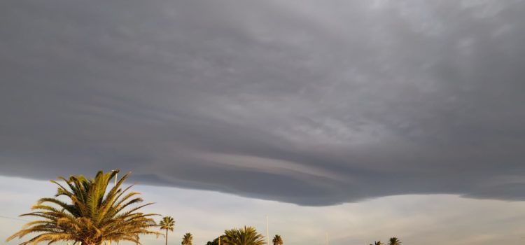El “parte” del temps: temperatures molt suaus