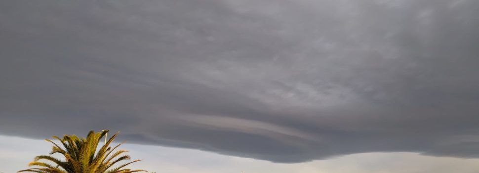 El “parte” del temps: temperatures molt suaus