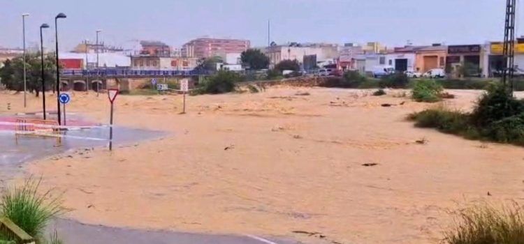Ibáñez (PSPV): “La urgencia de actuar con decisión en situaciones de emergencia”