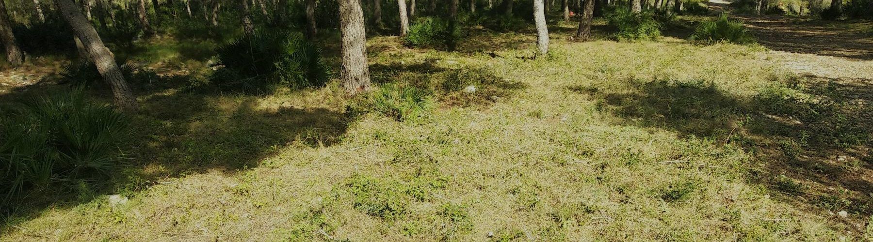 L’Ajuntament executa les accions recollides en el Pla Local de Prevenció dels Incendis Forestals