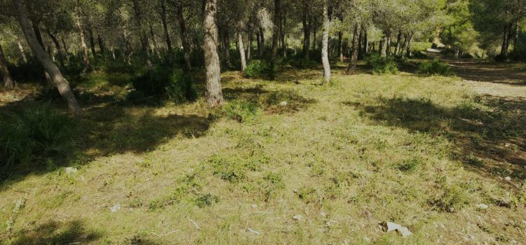 L’Ajuntament executa les accions recollides en el Pla Local de Prevenció dels Incendis Forestals