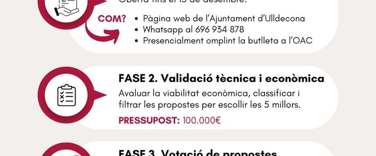Primera fase dels pressupostos participatius impulsats per l’Ajuntament d’Ulldecona