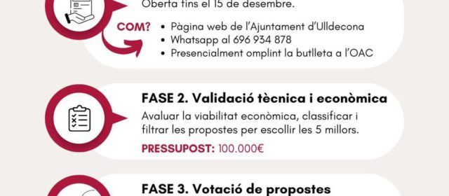 Primera fase dels pressupostos participatius impulsats per l’Ajuntament d’Ulldecona