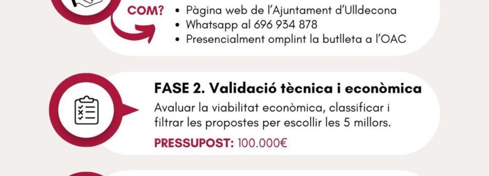 Primera fase dels pressupostos participatius impulsats per l’Ajuntament d’Ulldecona