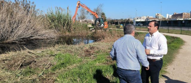 Comencen a Peníscola els treballs de manteniment i conservació de la marjal