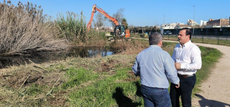 Comencen a Peníscola els treballs de manteniment i conservació de la marjal