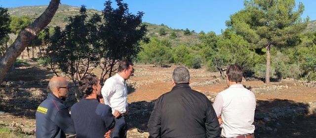 Peníscola acaba en Font Nova els treballs de mitigació del risc d’incendis que s’han dut a terme al llarg de quasi dos mesos
