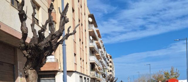 Obres i Serveis poda els arbres de l’avinguda de Leopold Querol