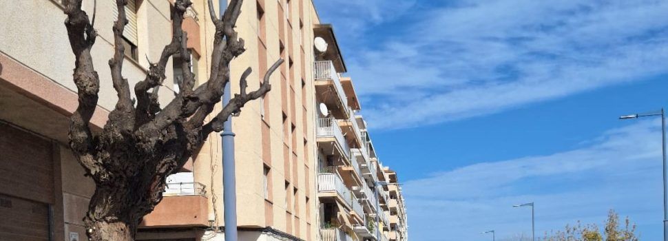 Obres i Serveis poda els arbres de l’avinguda de Leopold Querol