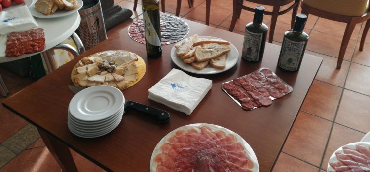 Jornada oleícola a Peníscola dirigida als restauradors del Baix Maestrat