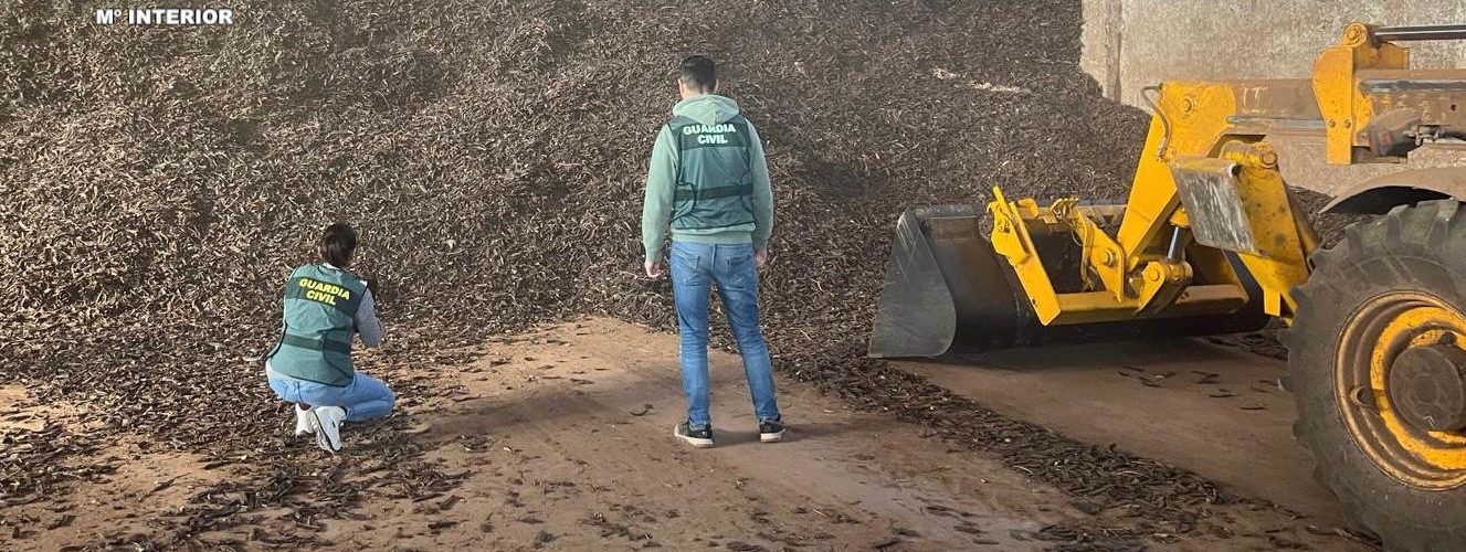 Cuatro detenidos en Vinaròs por introducir de manera ilícita más de 50.000 kilos de algarroba en el mercado