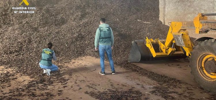 Cuatro detenidos en Vinaròs por introducir de manera ilícita más de 50.000 kilos de algarroba en el mercado