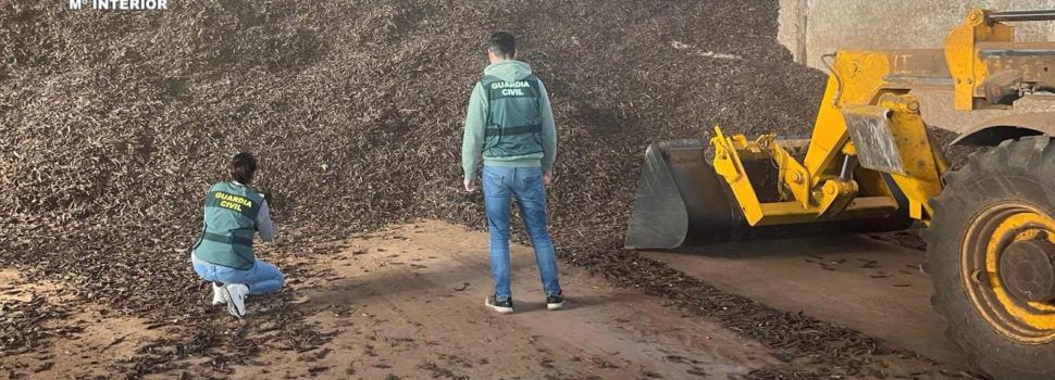 Cuatro detenidos en Vinaròs por introducir de manera ilícita más de 50.000 kilos de algarroba en el mercado