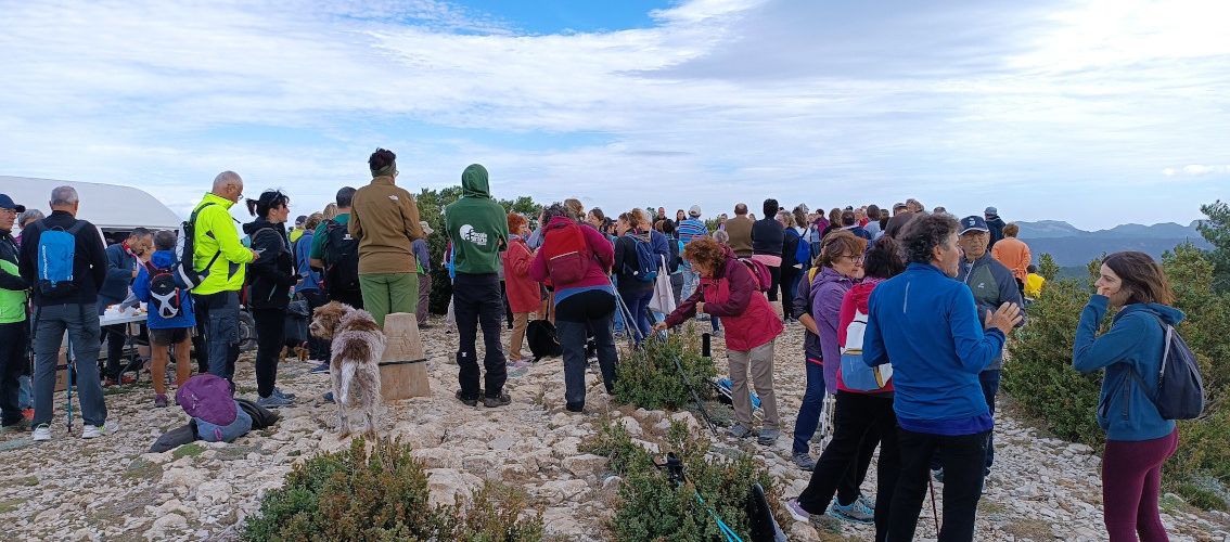 Les Jornades Europees de Patrimoni 2024 es tanquen amb 1.325 participants en 19 activitats