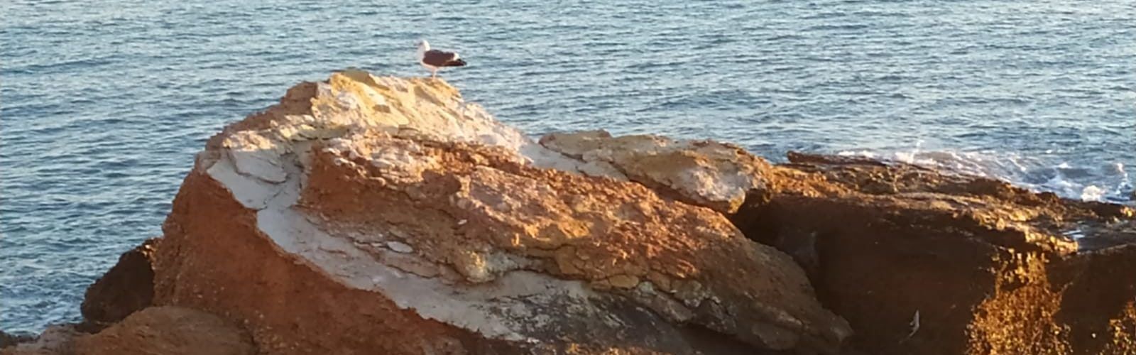 El “parte” del temps: lo vent agafaria prou força dissabte per la tarde