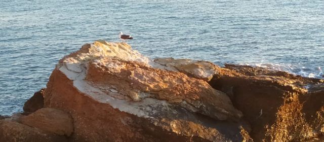 El “parte” del temps: lo vent agafaria prou força dissabte per la tarde