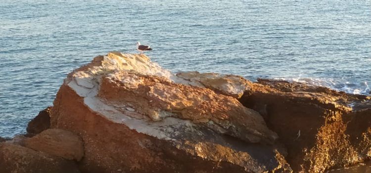 El “parte” del temps: lo vent agafaria prou força dissabte per la tarde