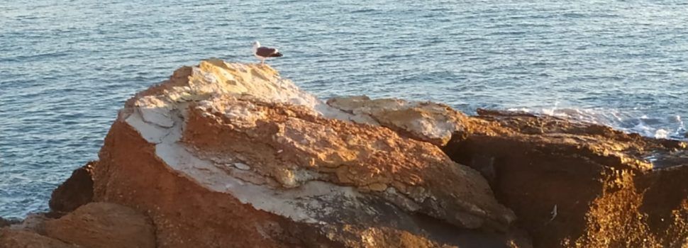 El “parte” del temps: lo vent agafaria prou força dissabte per la tarde