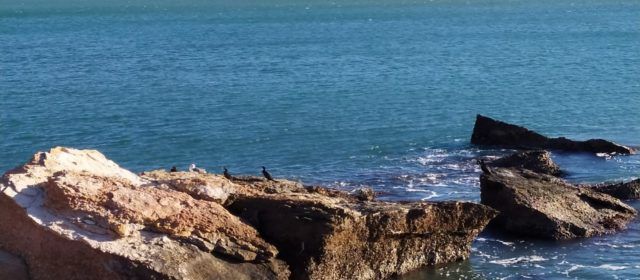 El “parte” del temps: les temperatures demà encara més baixes
