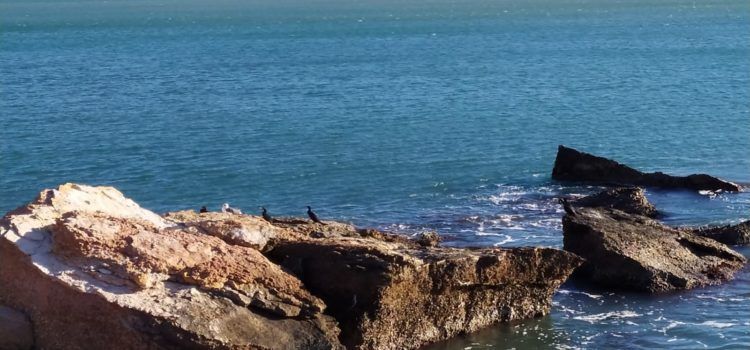 El “parte” del temps: les temperatures demà encara més baixes