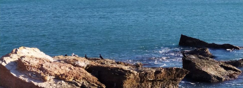 El “parte” del temps: les temperatures demà encara més baixes