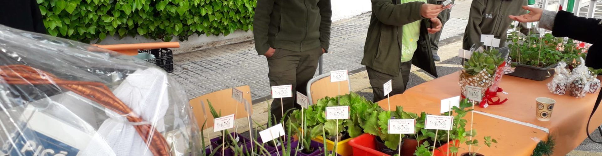 Mercat de Nadal al col·legi Baix Maestrat amb productes dels propis alumnes
