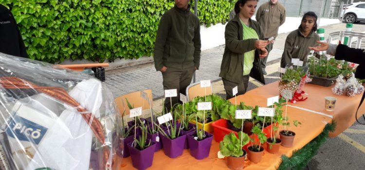 Mercat de Nadal al col·legi Baix Maestrat amb productes dels propis alumnes