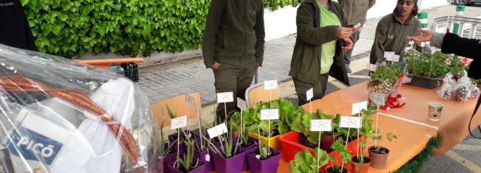 Mercat de Nadal al col·legi Baix Maestrat amb productes dels propis alumnes