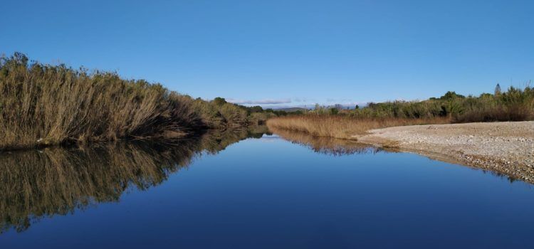 El “parte” del temps: a partir de demà la temperatura remunta i amb ganes