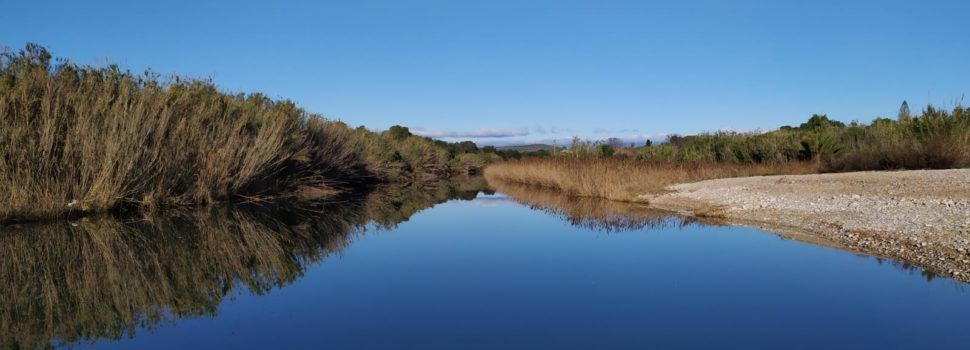 El “parte” del temps: a partir de demà la temperatura remunta i amb ganes