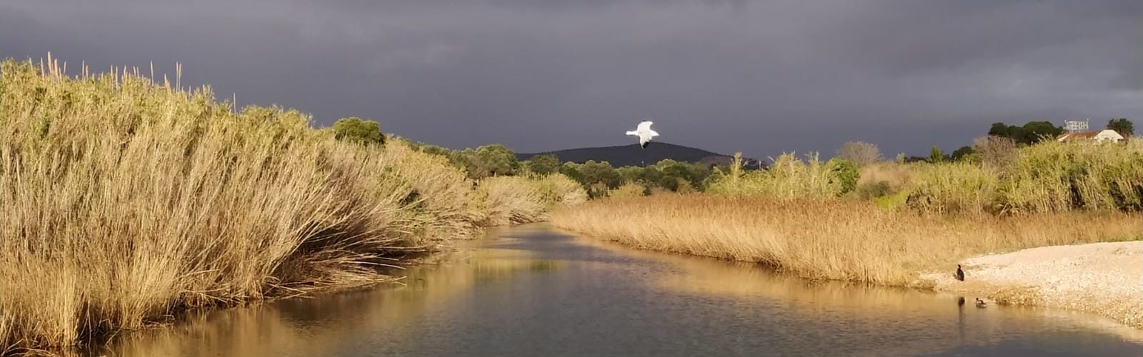 El “parte” del temps: molt bé al solet i per les nits bona fresca
