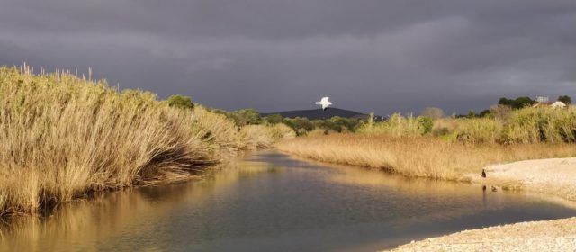 El “parte” del temps: molt bé al solet i per les nits bona fresca