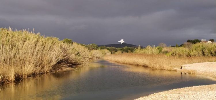 El “parte” del temps: molt bé al solet i per les nits bona fresca