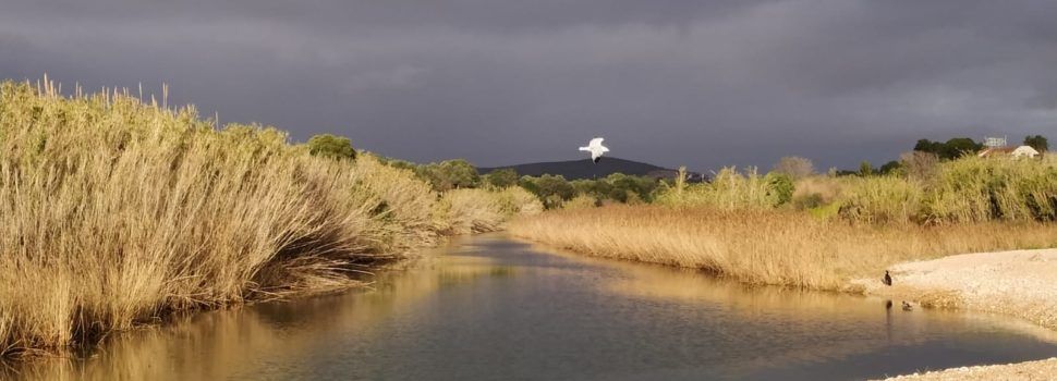 El “parte” del temps: molt bé al solet i per les nits bona fresca