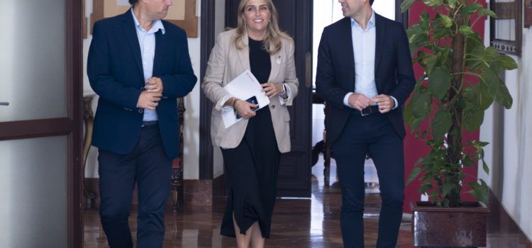 La Diputació garantix el control poblacional de colònies felines en 56 municipis de la província amb més de 103.000 euros