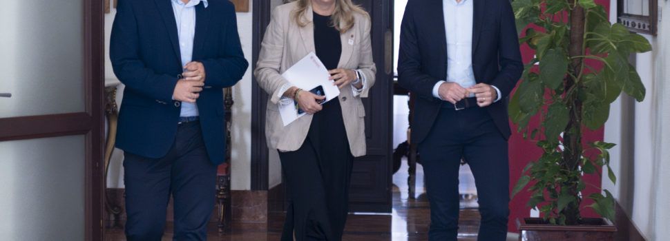 La Diputació garantix el control poblacional de colònies felines en 56 municipis de la província amb més de 103.000 euros