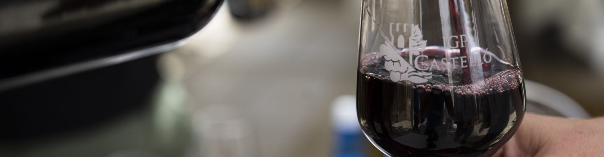 La Diputació avança al costat de l’Associació Vitivinícola de Castelló per a aconseguir la Denominació d’Origen Protegida per als seus vins