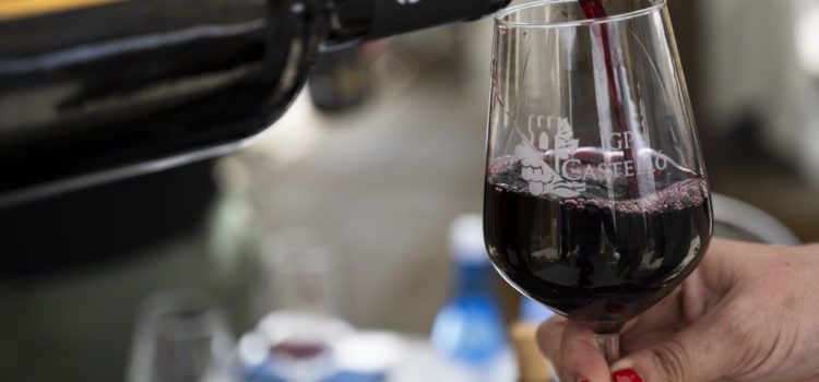 La Diputació avança al costat de l’Associació Vitivinícola de Castelló per a aconseguir la Denominació d’Origen Protegida per als seus vins