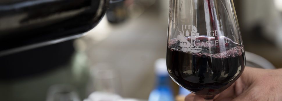 La Diputació avança al costat de l’Associació Vitivinícola de Castelló per a aconseguir la Denominació d’Origen Protegida per als seus vins